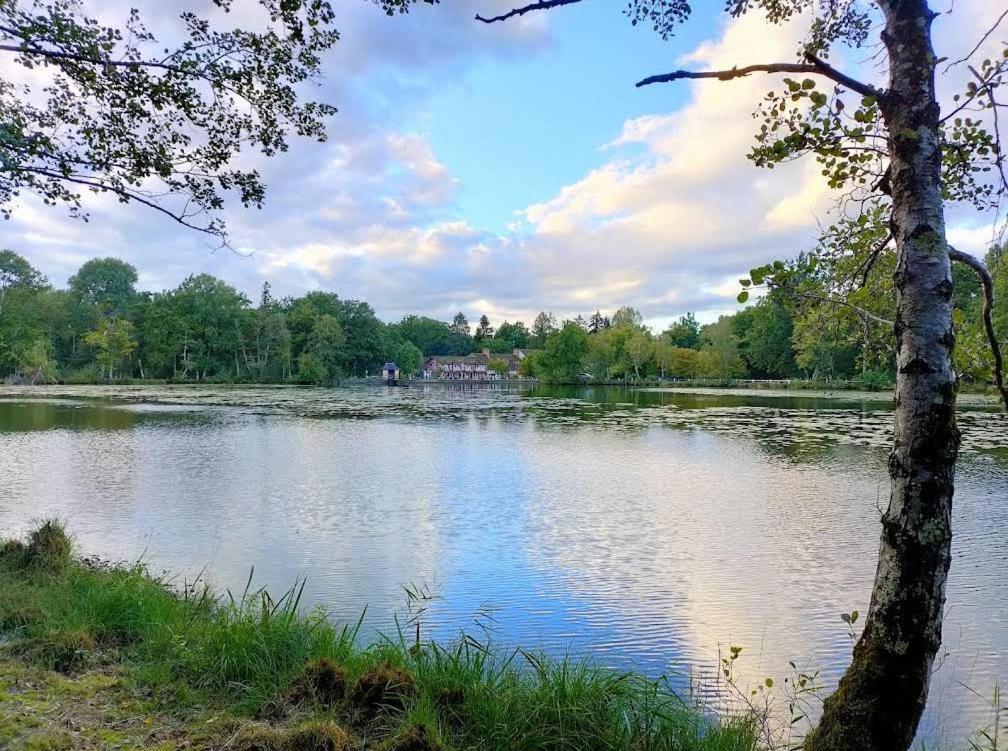 Le Moulin De Villiers Hotel Nouan-le-Fuzelier Екстериор снимка